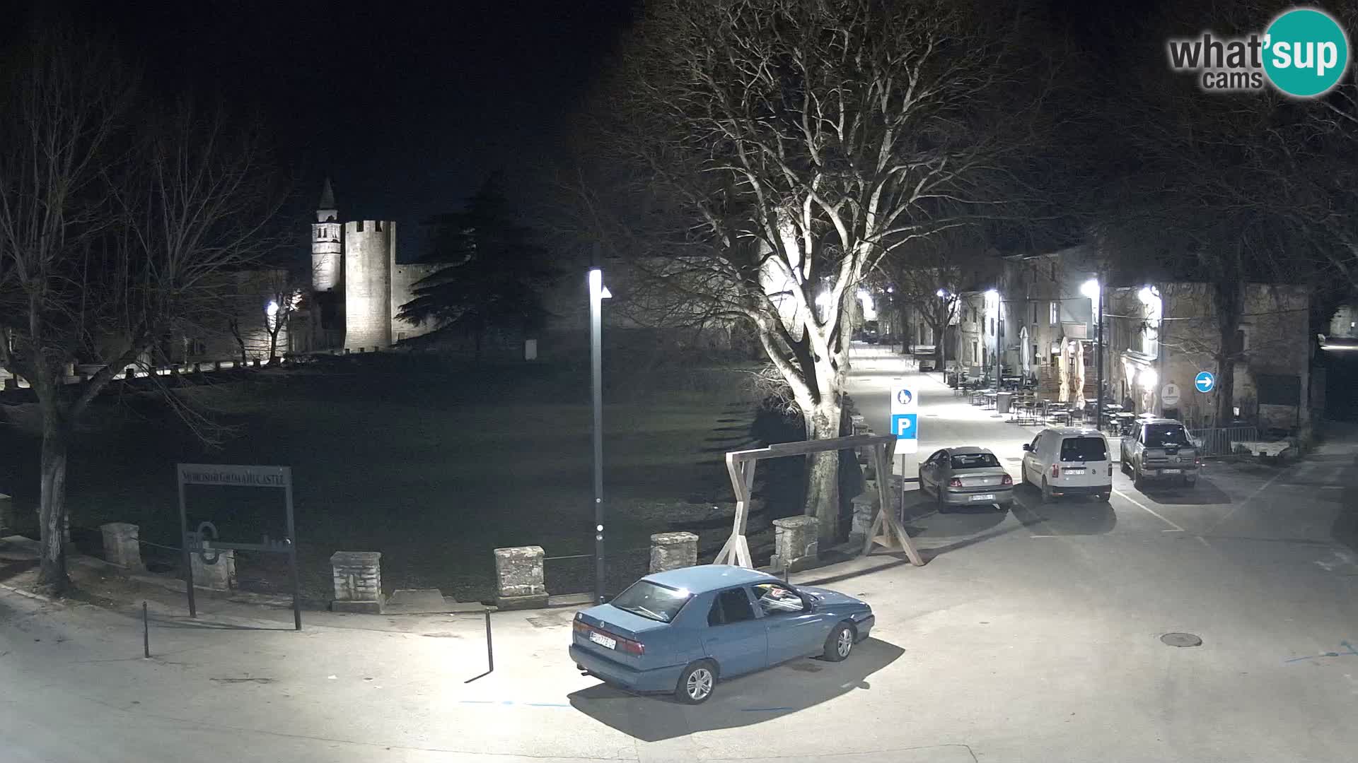 Live Svetvinčenat (Sanvincenti) – vista sul castello Morosini Grimani – Istria – Croazia