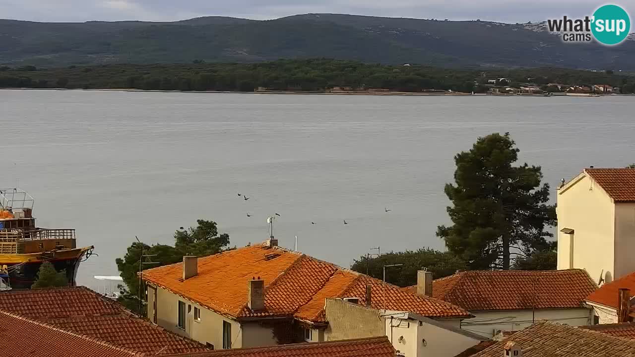 Sveti Filip i Jakov webcam