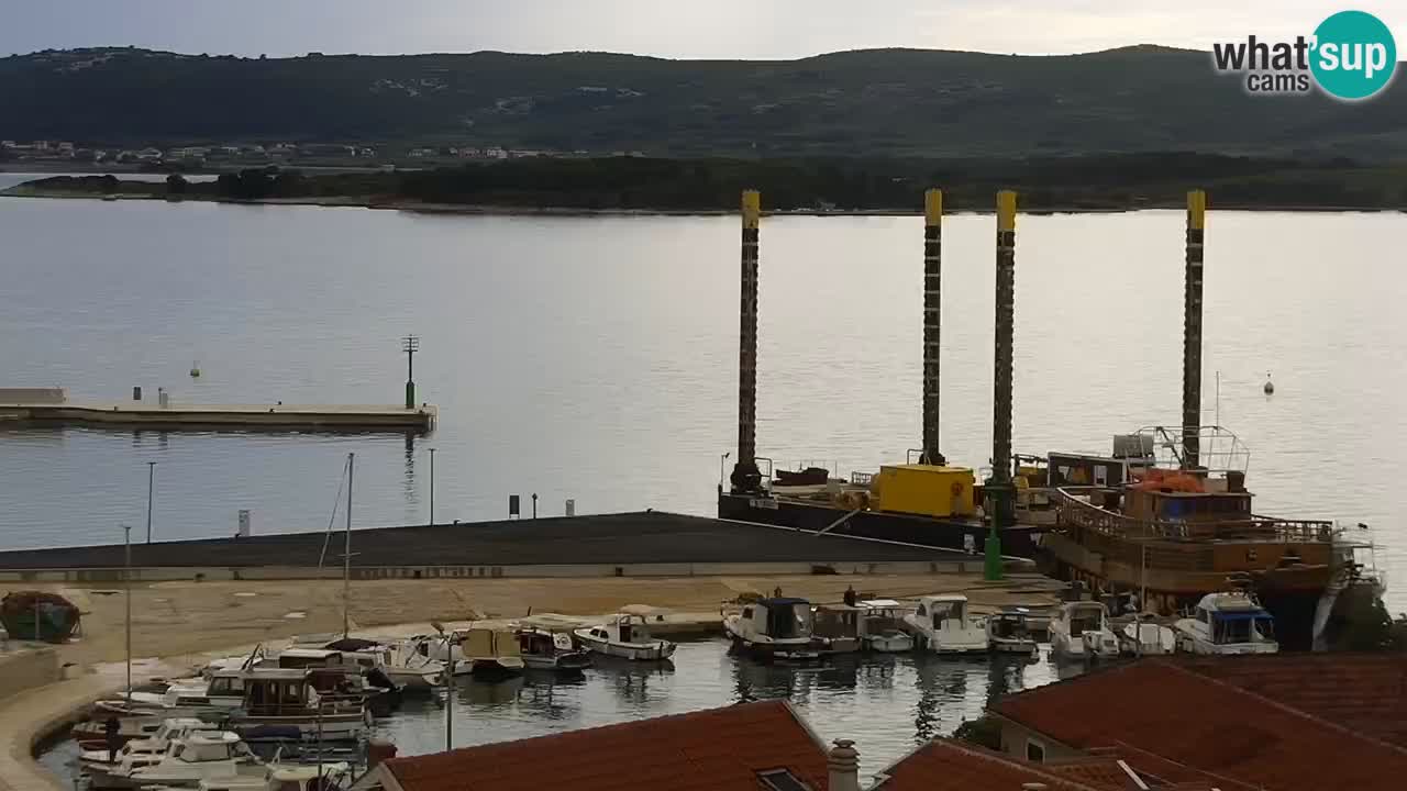 Livecam Sveti Filip i Jakov
