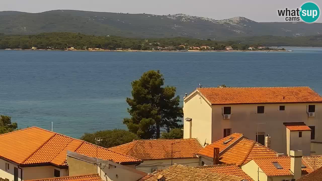 Livecam Sveti Filip i Jakov