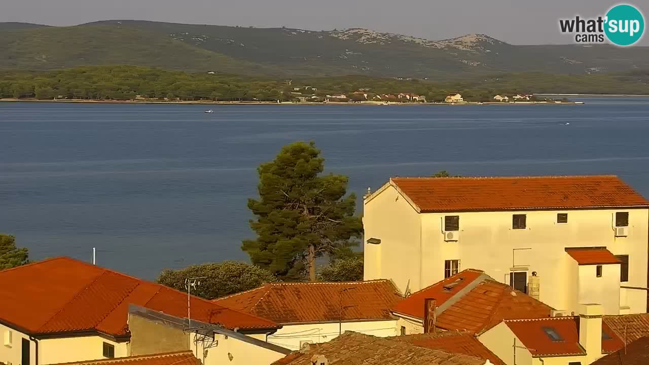 Livecam Sveti Filip i Jakov