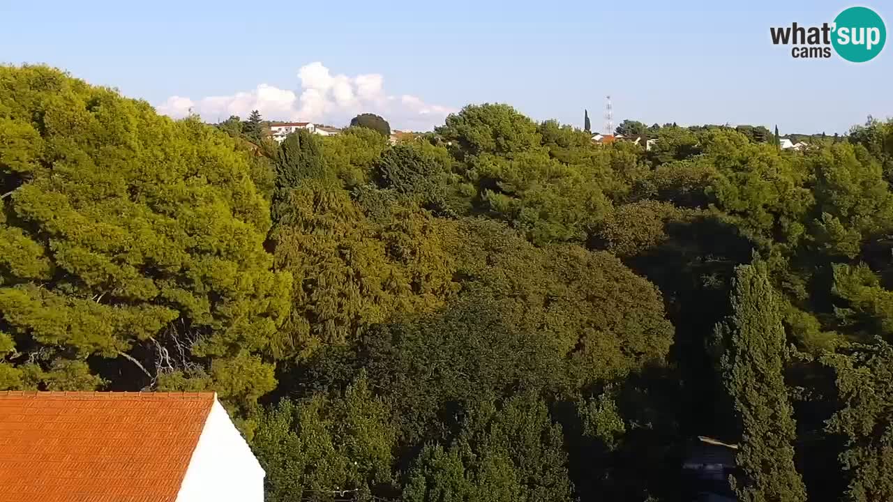 Webcam Sveti Filip i Jakov