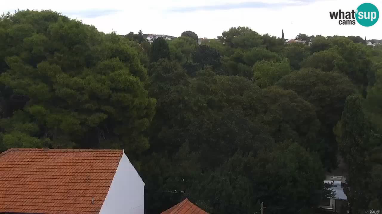 Kamera v zivo Sveti Filip i Jakov