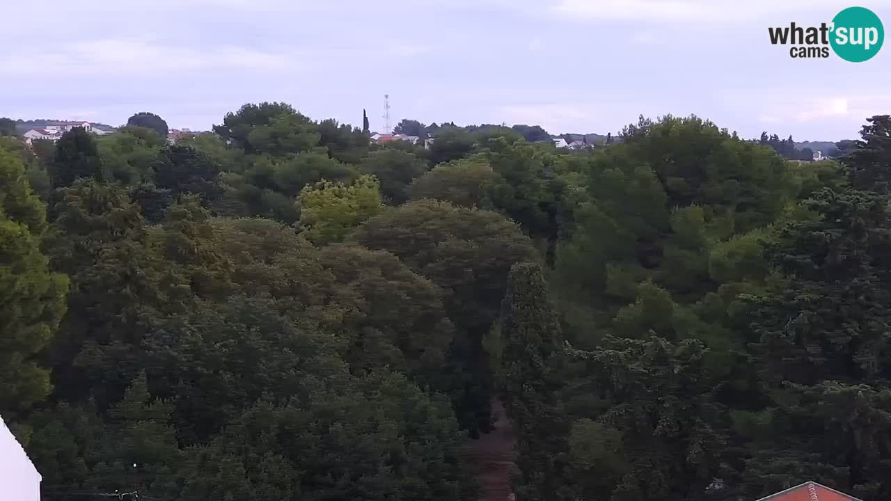Kamera v zivo Sveti Filip i Jakov