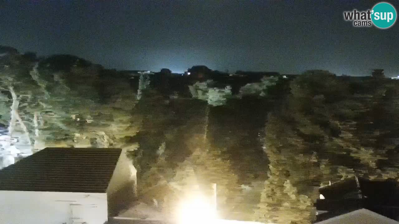 Webcam Sveti Filip i Jakov