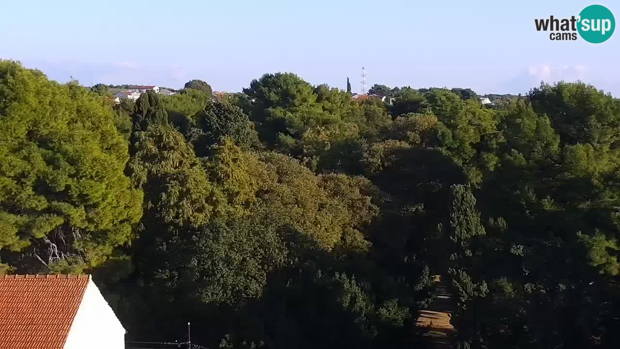 Sveti Filip i Jakov webcam