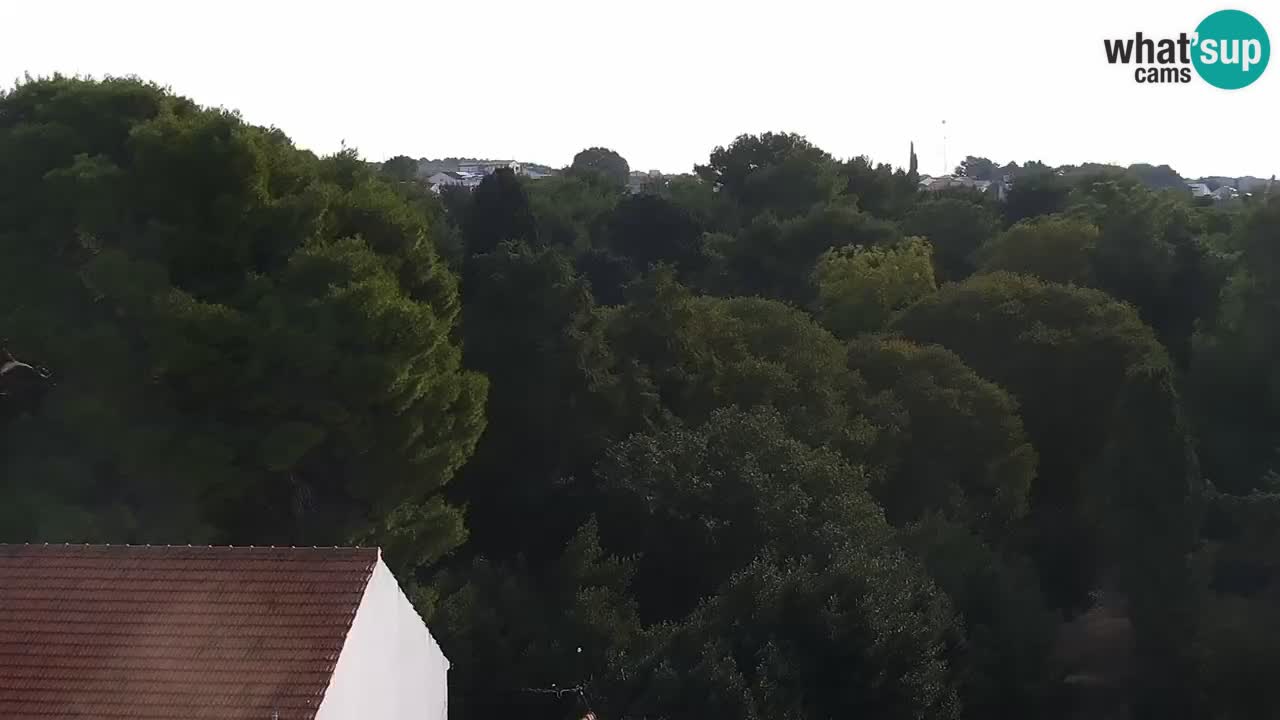 Web kamera Sveti Filip i Jakov