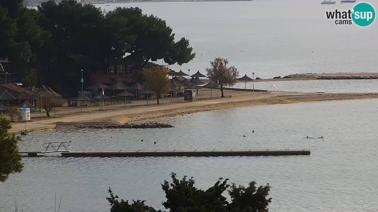 Kamera v zivo Sveti Filip i Jakov