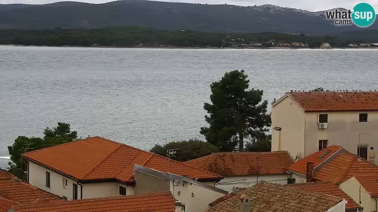 Livecam Sveti Filip i Jakov