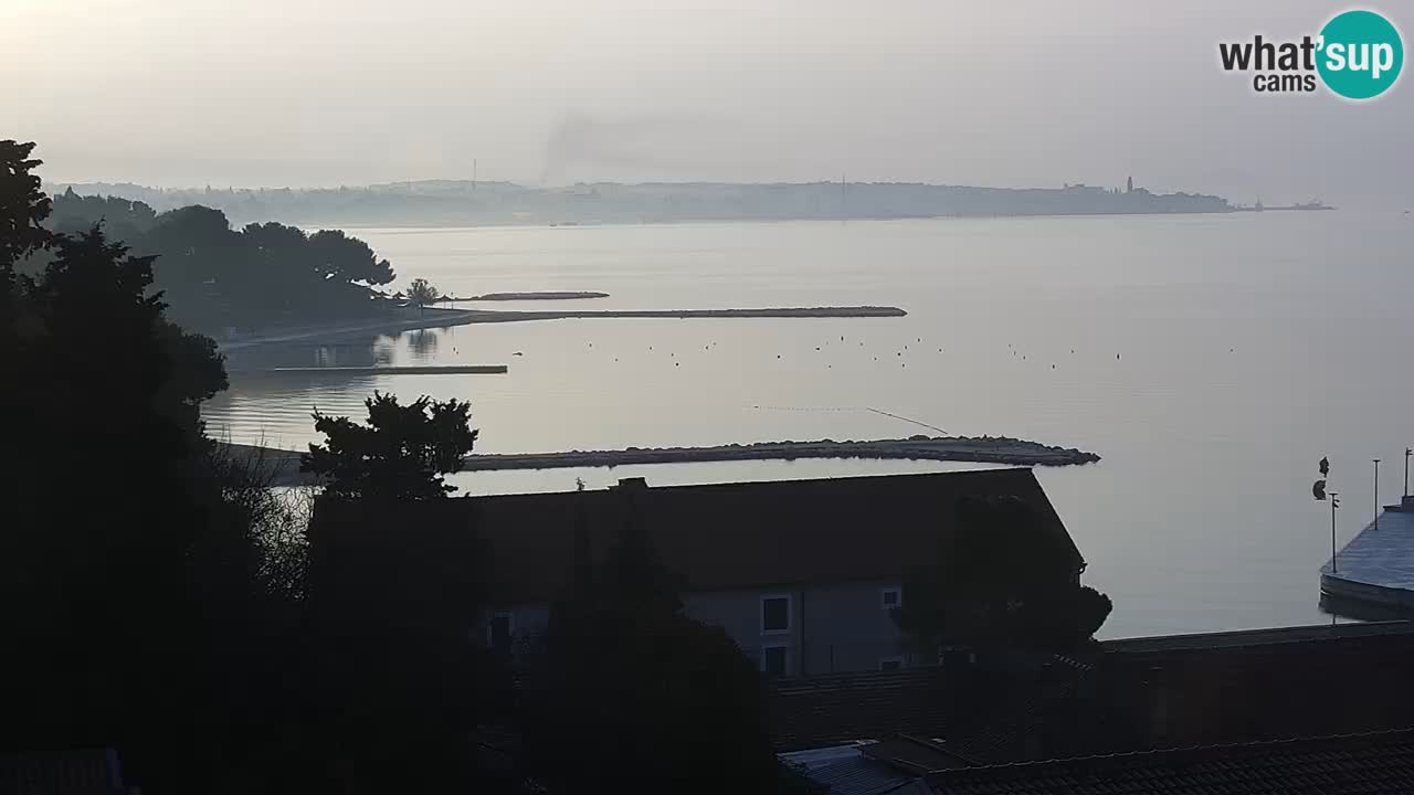 Webcam Santi Filippo e Giacomo