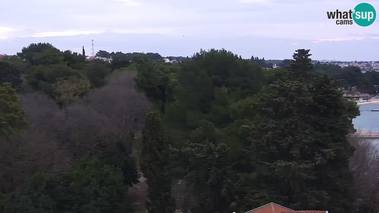 Camera en vivo Sveti Filip i Jakov