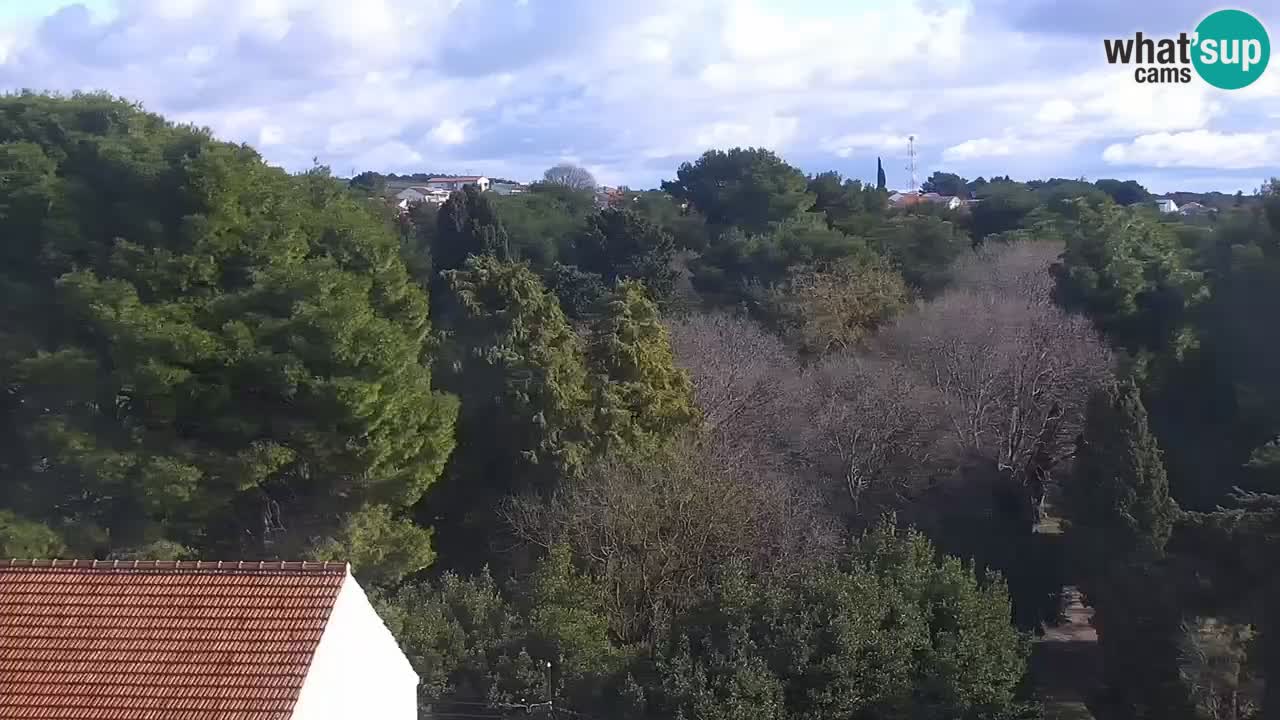 Livecam Sveti Filip i Jakov