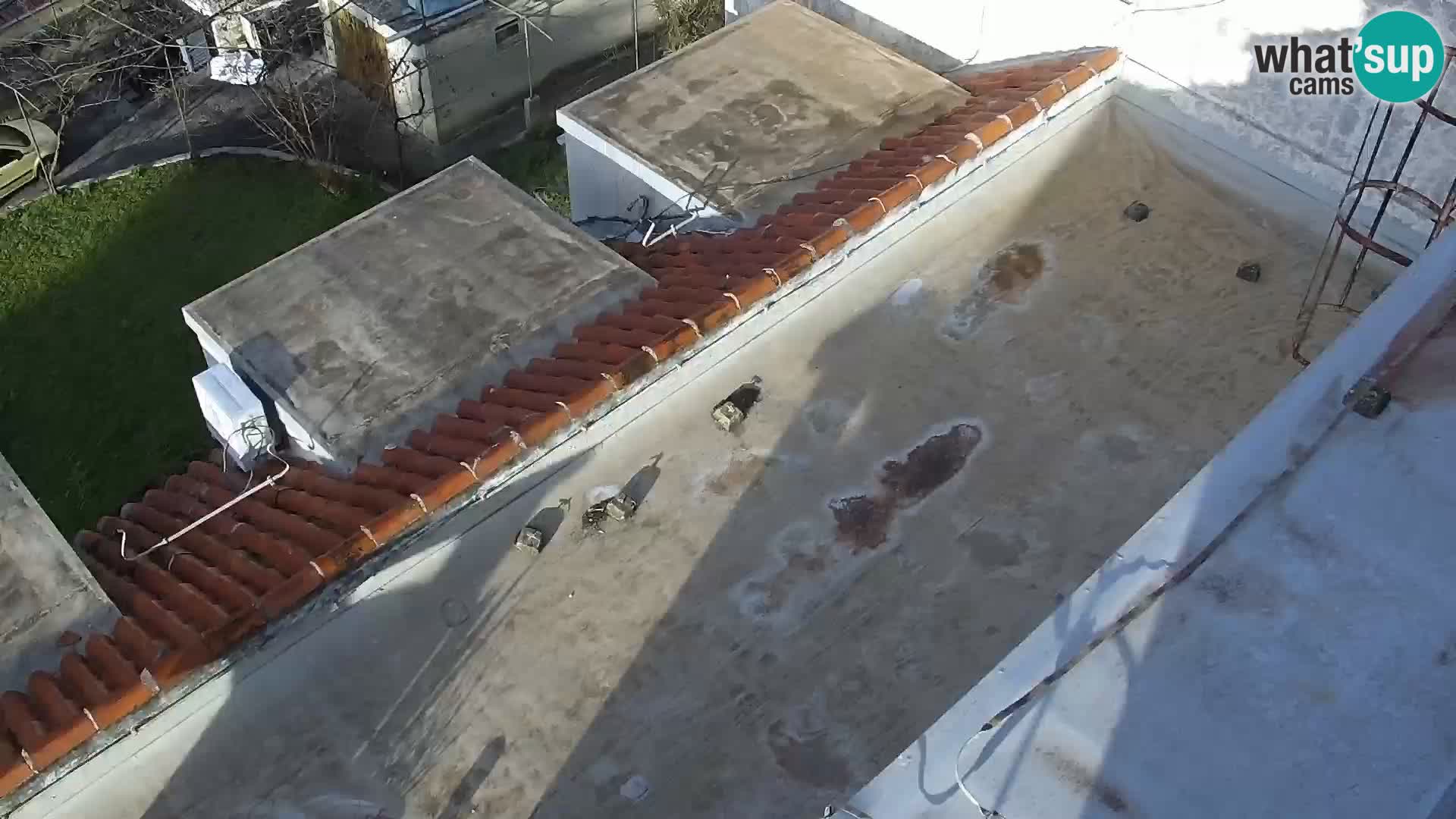 Livecam Sveti Filip i Jakov