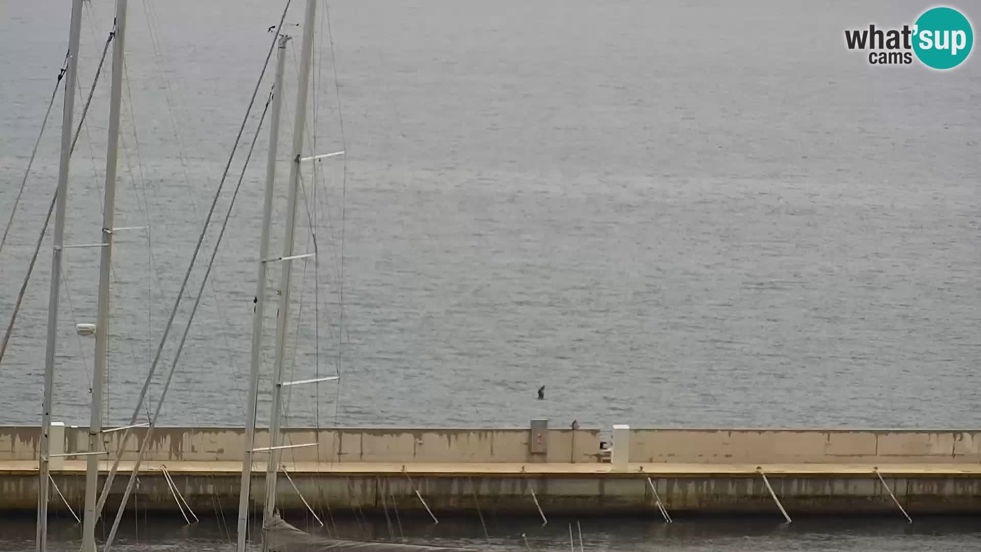 Kamera v zivo Sveti Filip i Jakov