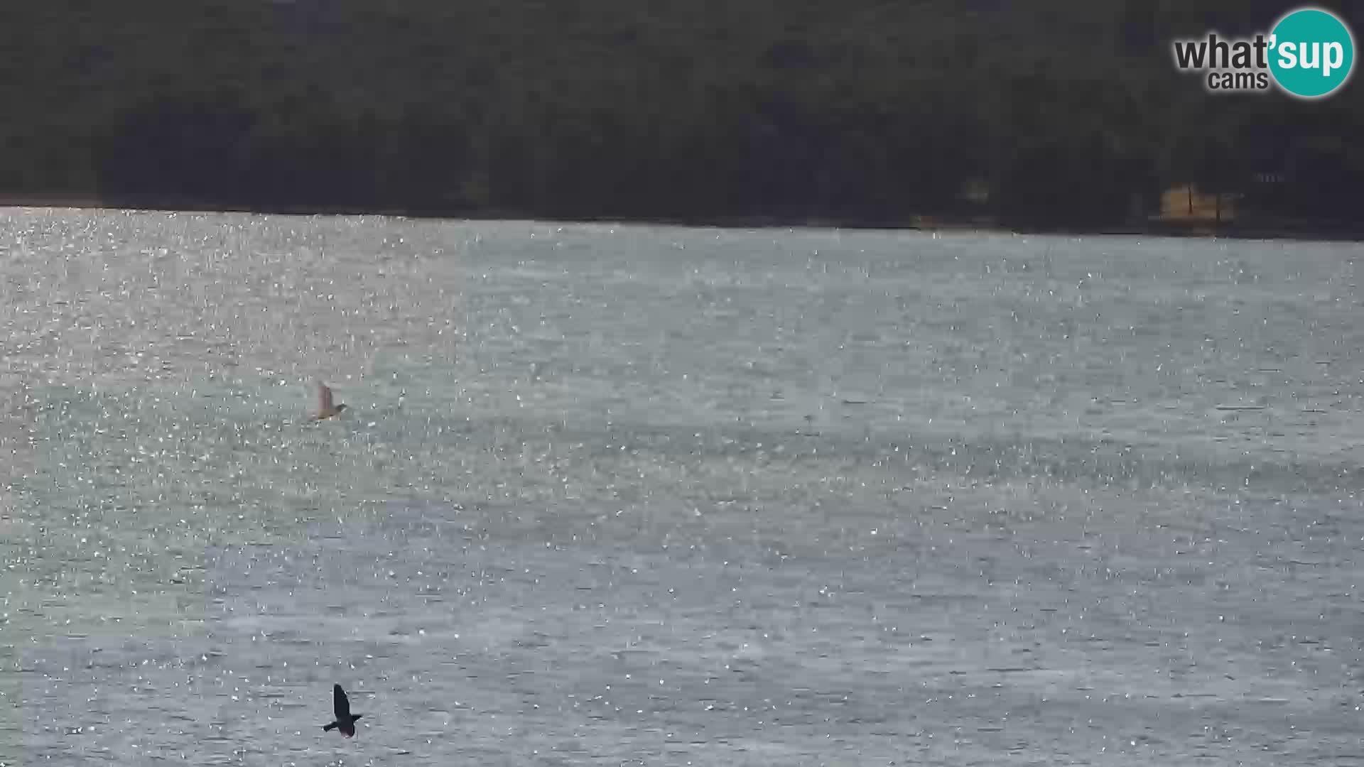 Webcam Santi Filippo e Giacomo