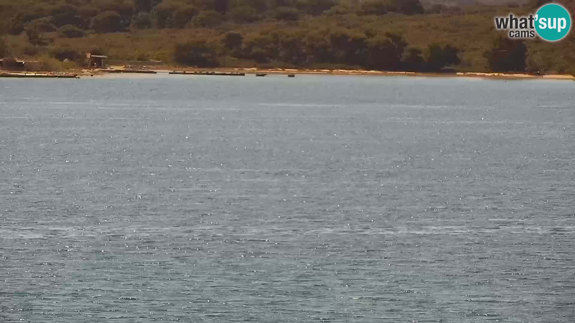 Livecam Sveti Filip i Jakov