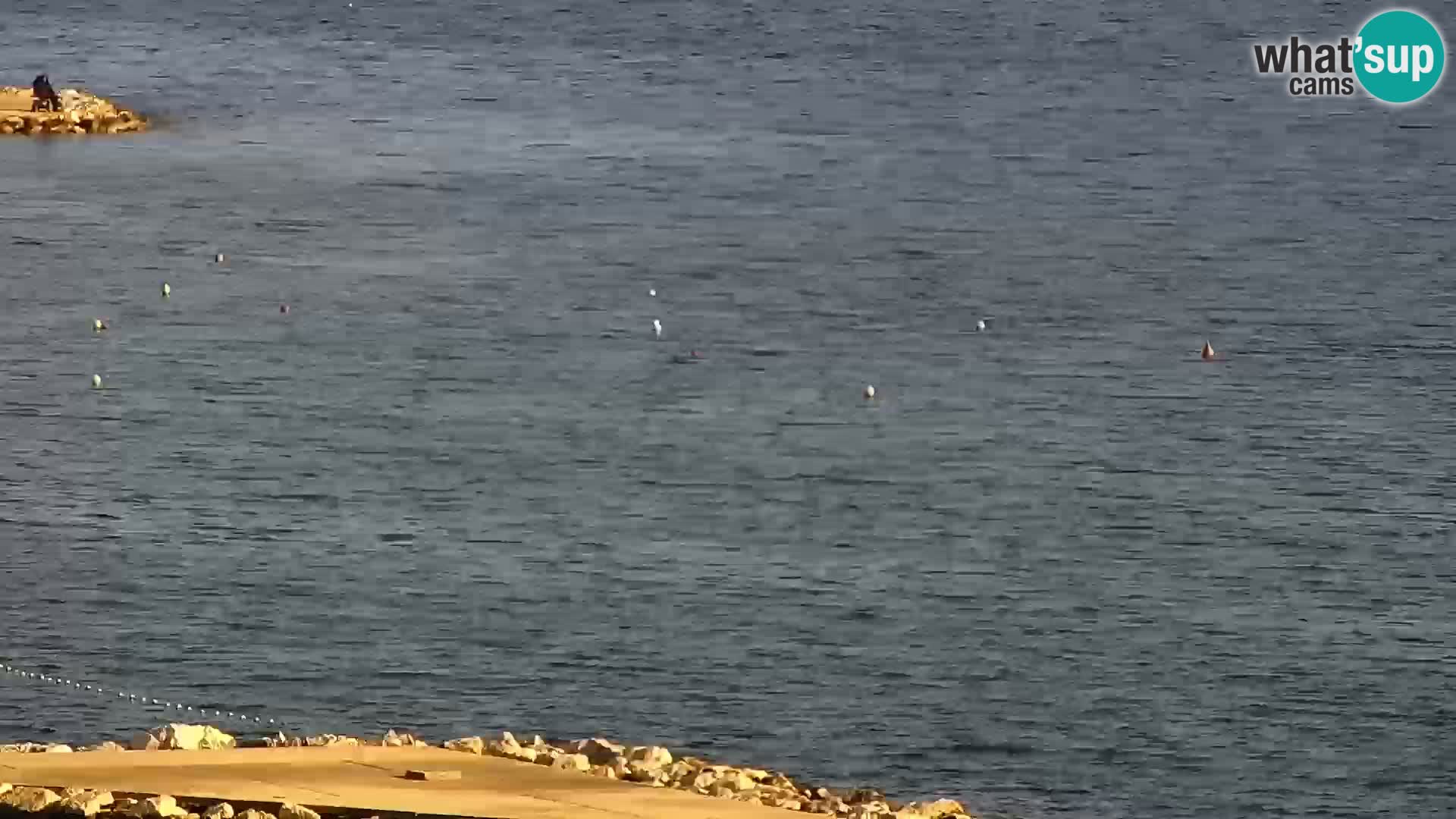 Livecam Sveti Filip i Jakov