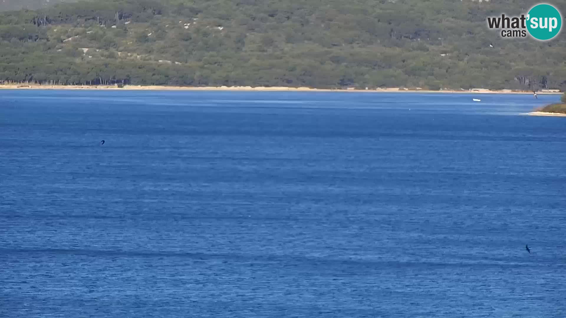 Webcam Santi Filippo e Giacomo