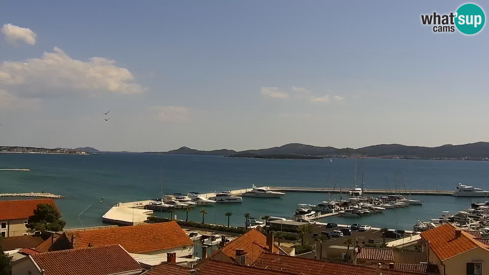 Livecam Sveti Filip i Jakov