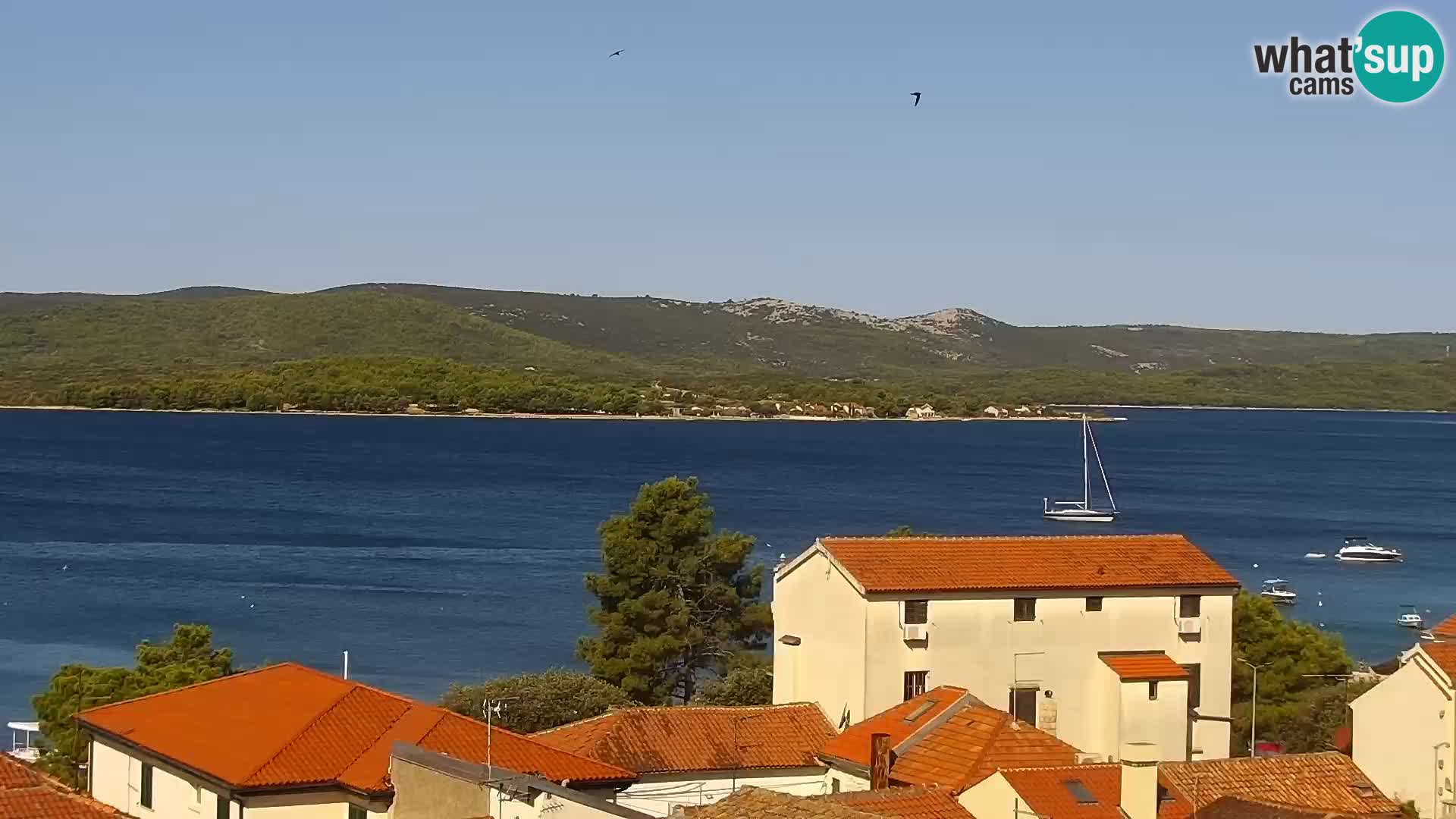 Sveti Filip i Jakov webcam
