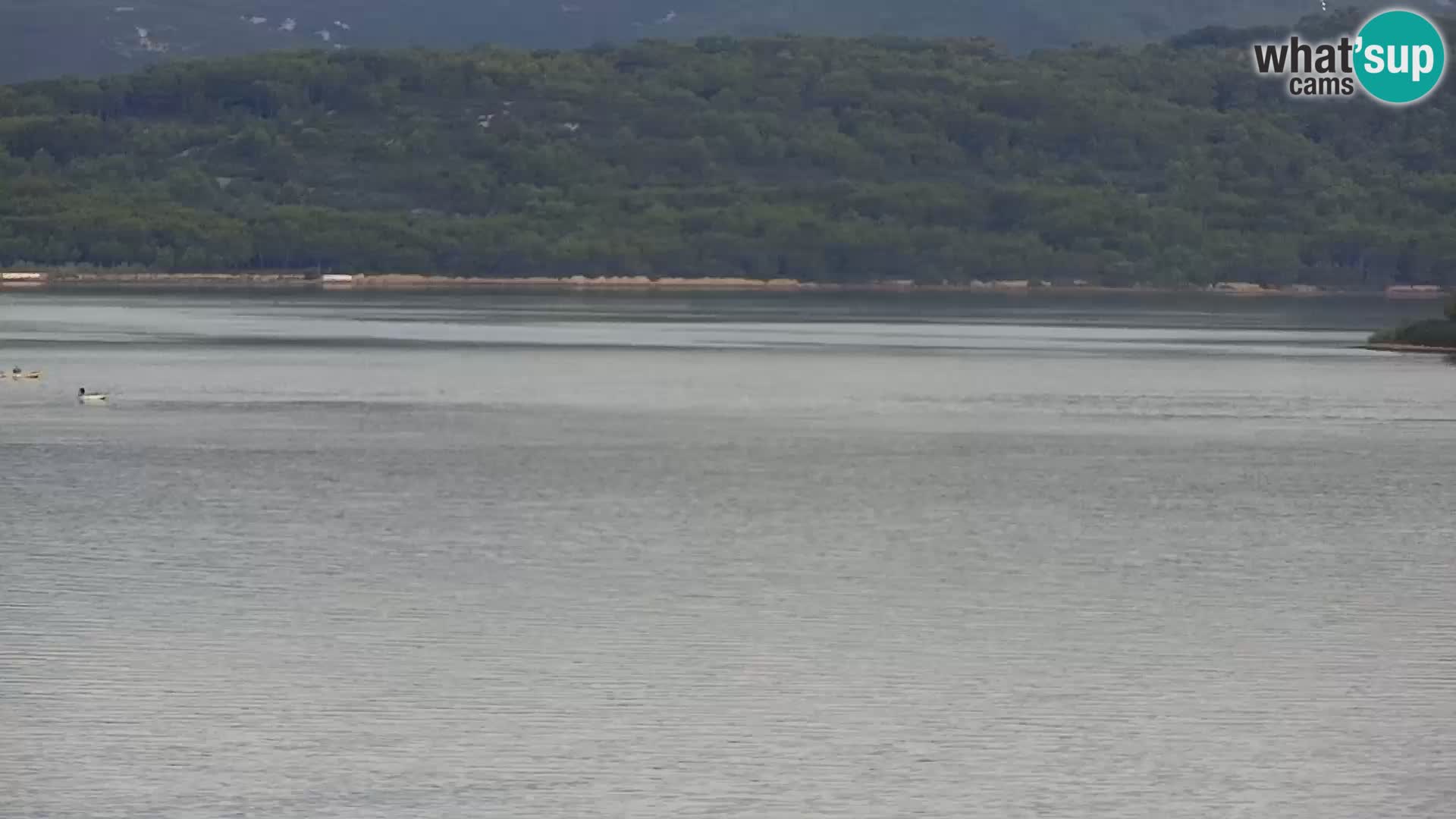 Livecam Sveti Filip i Jakov