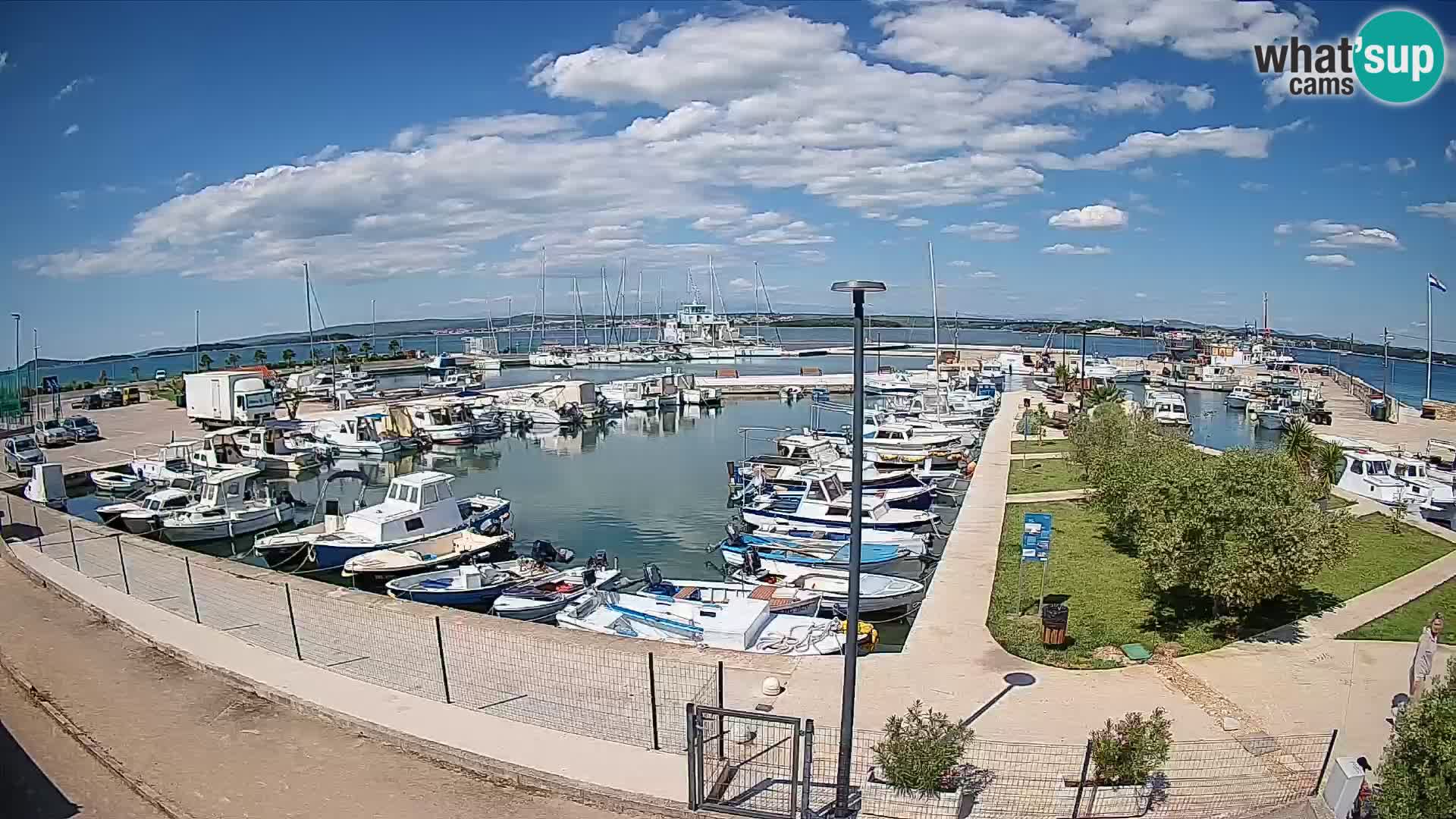 Spletna kamera Tkon – Marina