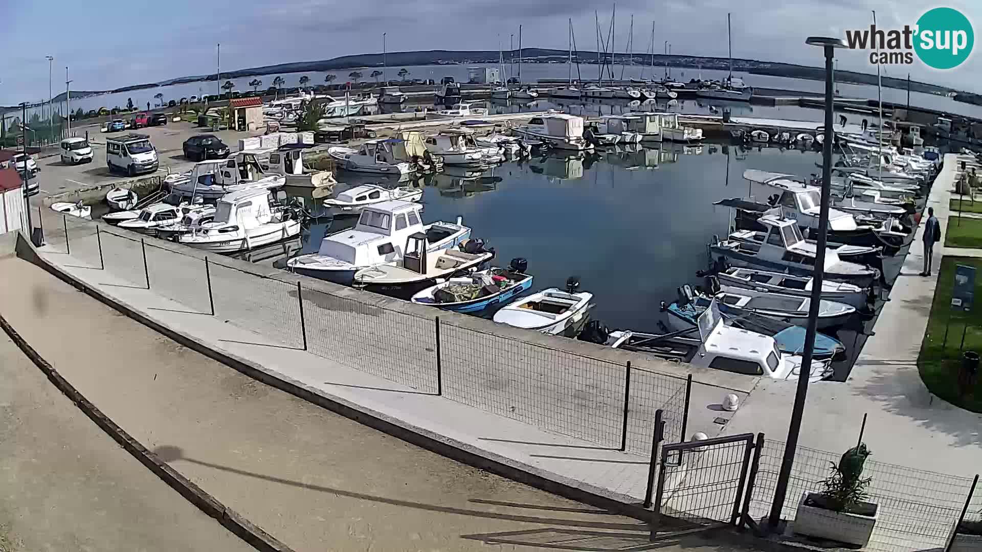 Webcam Live Tkon – Marina