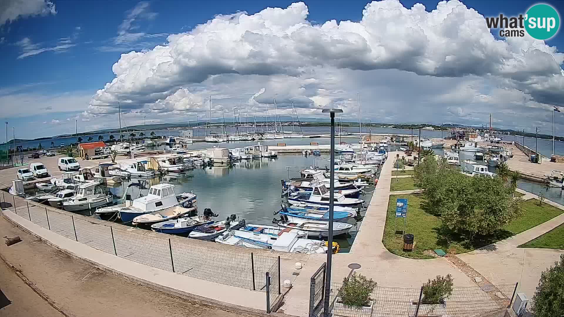 Webcam Live Tkon – puerto deportivo