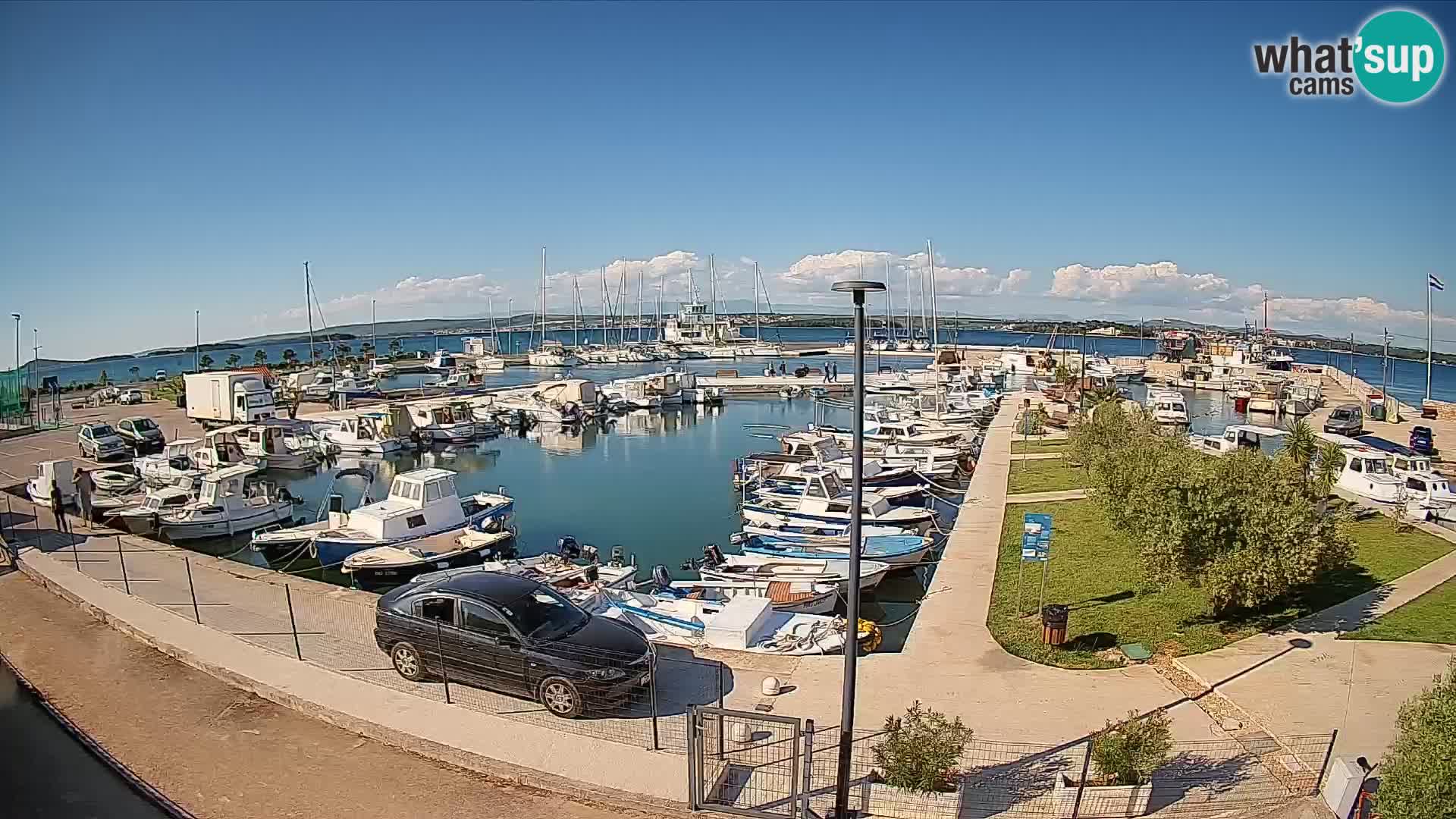 Webcam Live Tkon – puerto deportivo