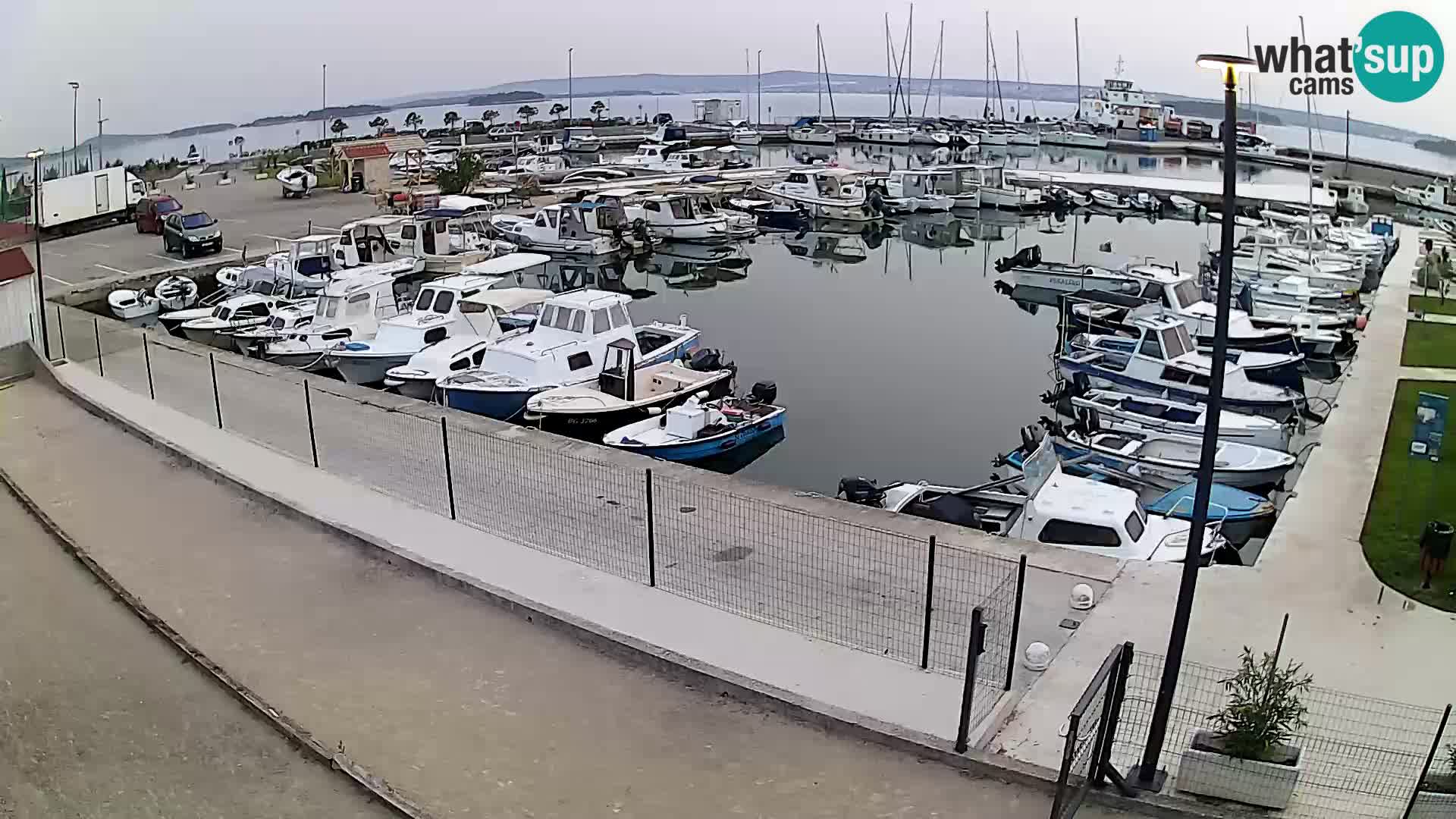 Webcam Live Tkon – puerto deportivo