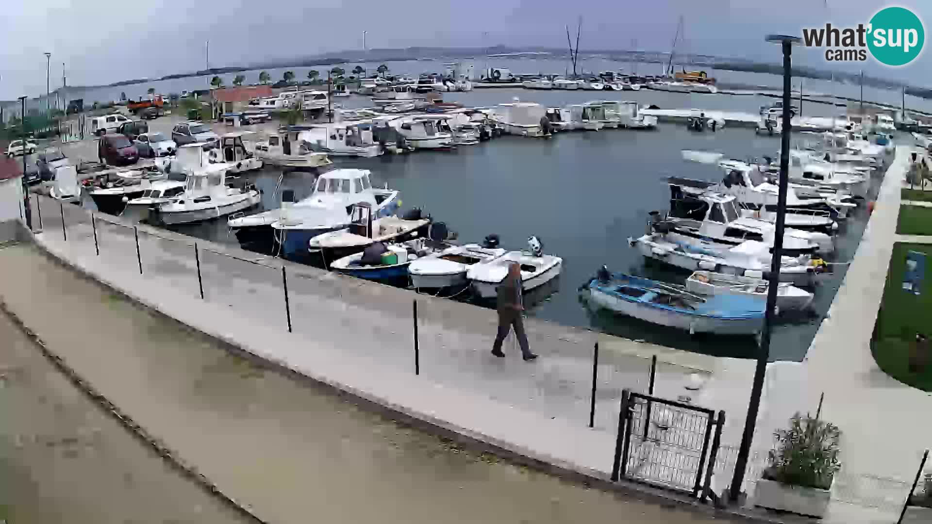 Webcam Live Tkon – port de plaisance