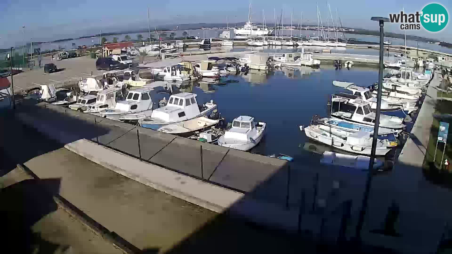 Webcam Live Tkon – port de plaisance