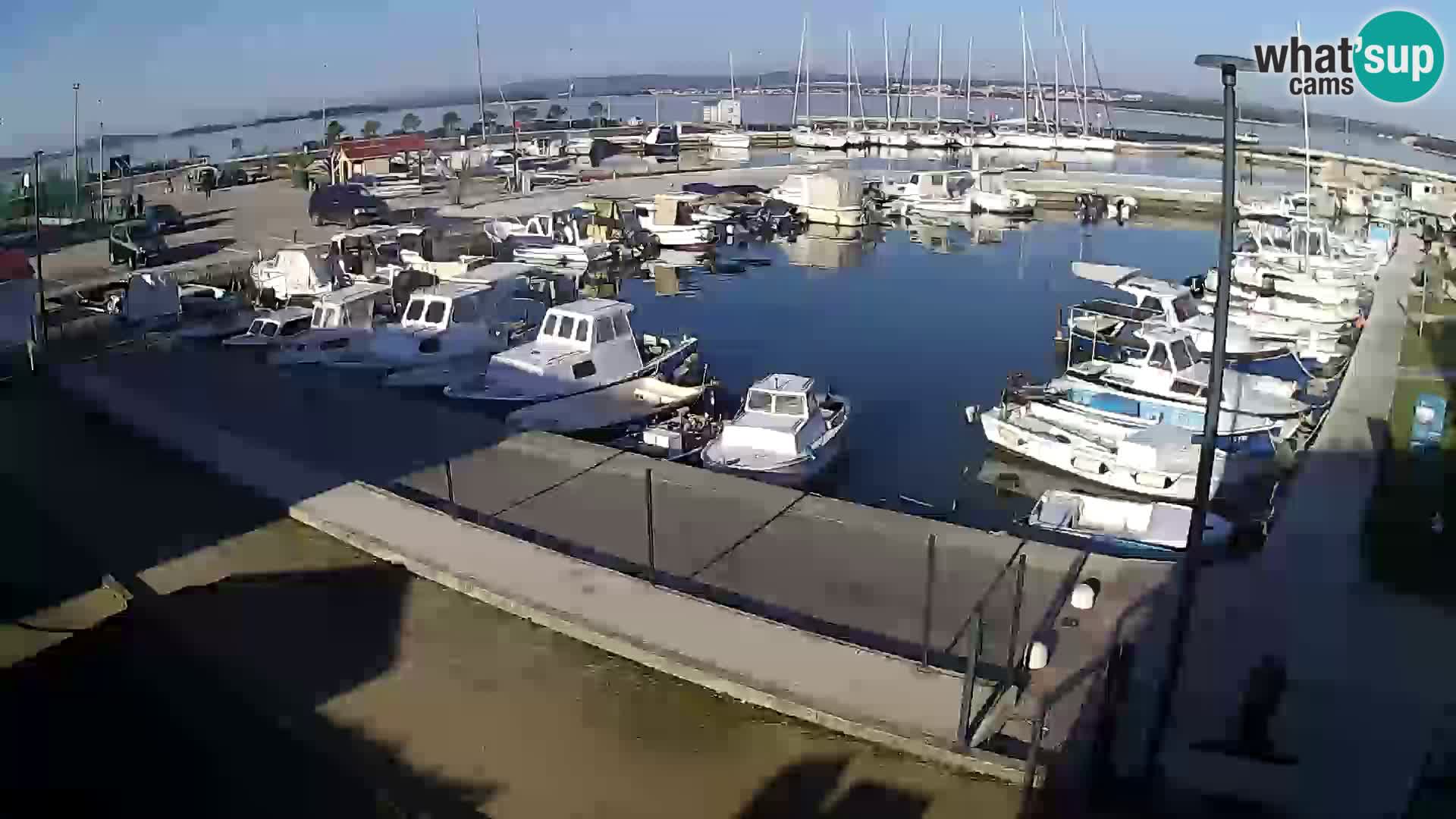 Webcam Live Tkon – port de plaisance