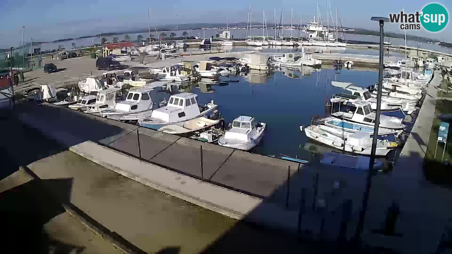 Webcam Live Tkon – port de plaisance