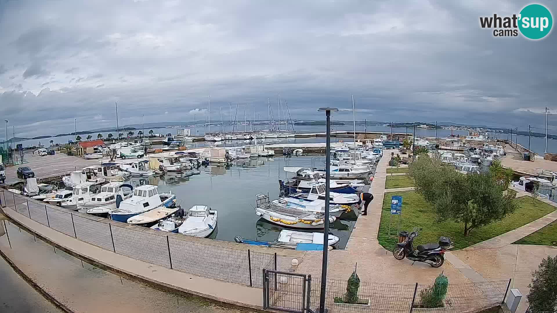 Webcam Live Tkon – port de plaisance