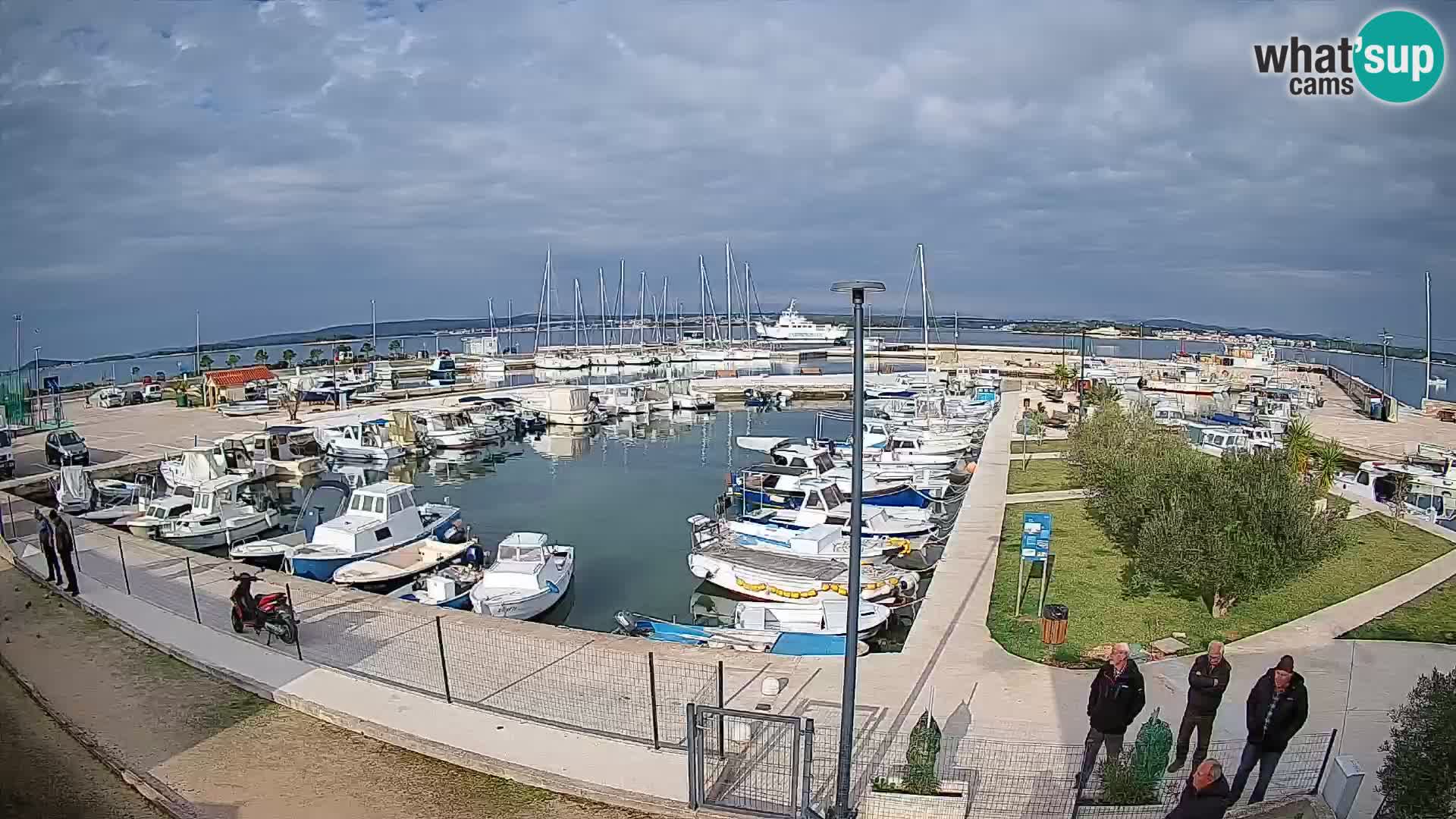 Webcam Live Tkon – port de plaisance