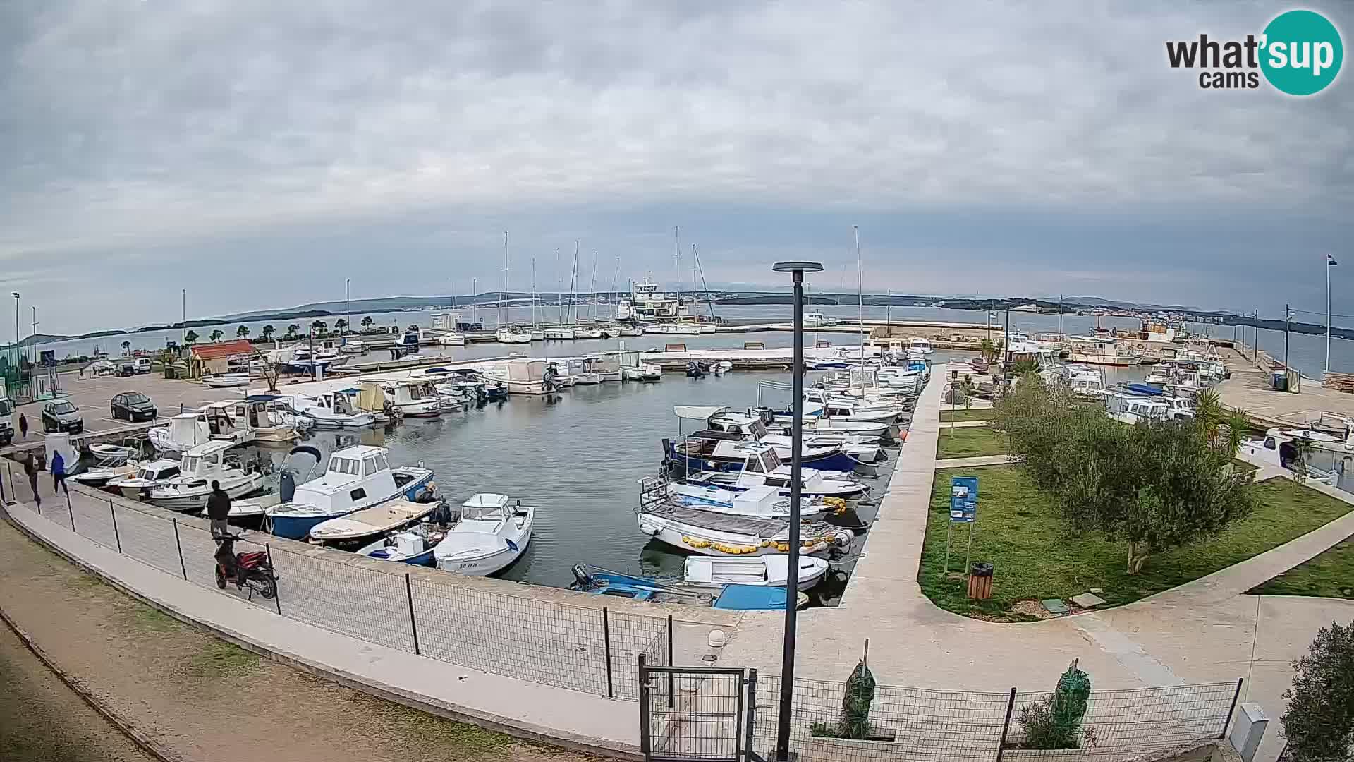 Webcam Live Tkon – port de plaisance