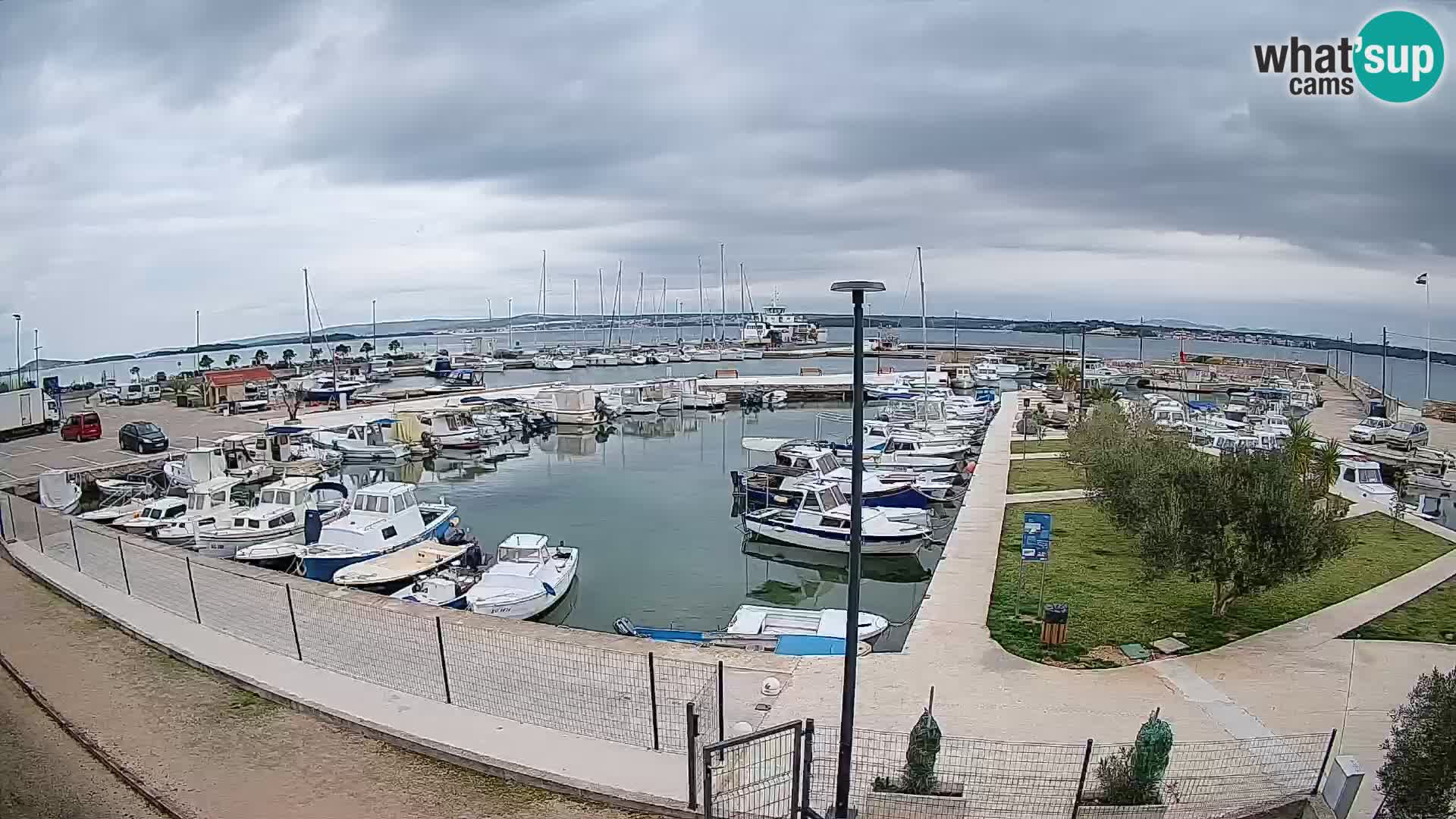 Webcam Live Tkon – port de plaisance