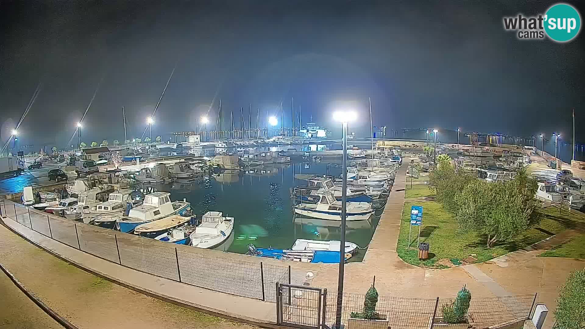 Webcam Live Tkon – port de plaisance