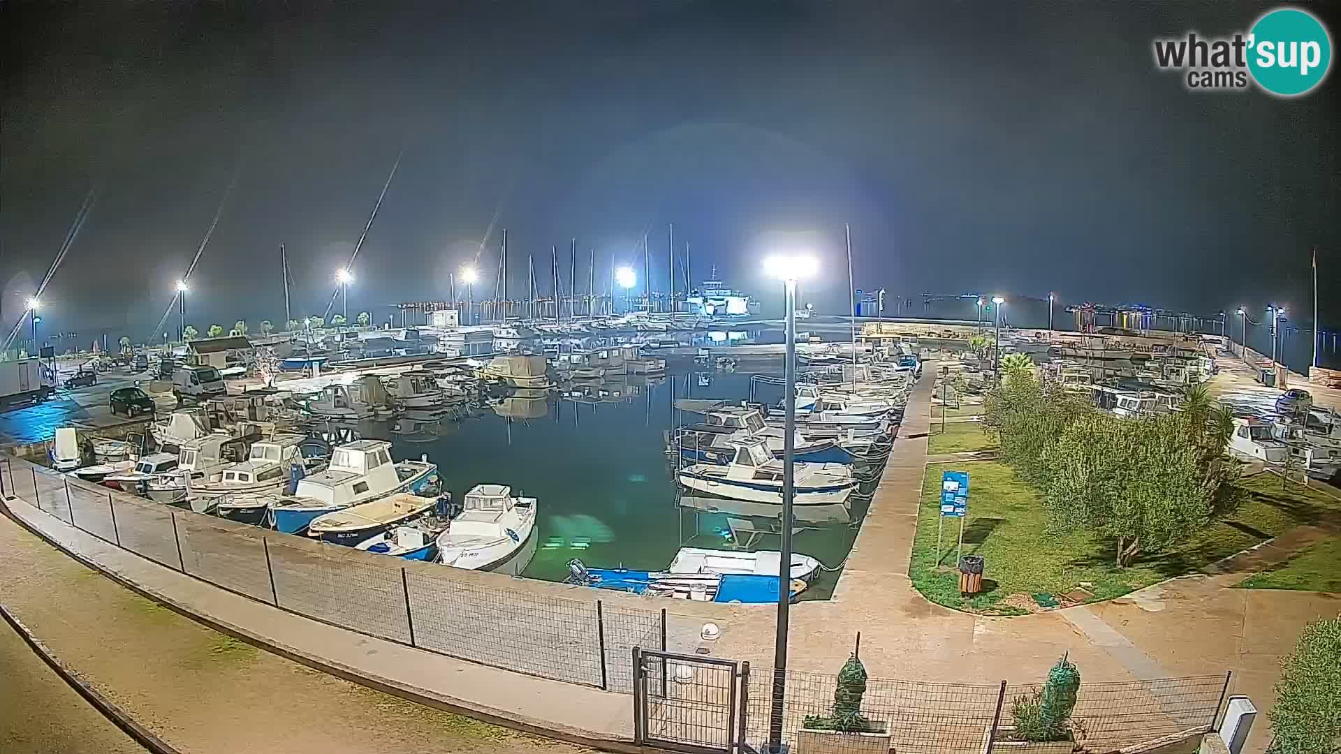 Webcam Live Tkon – port de plaisance