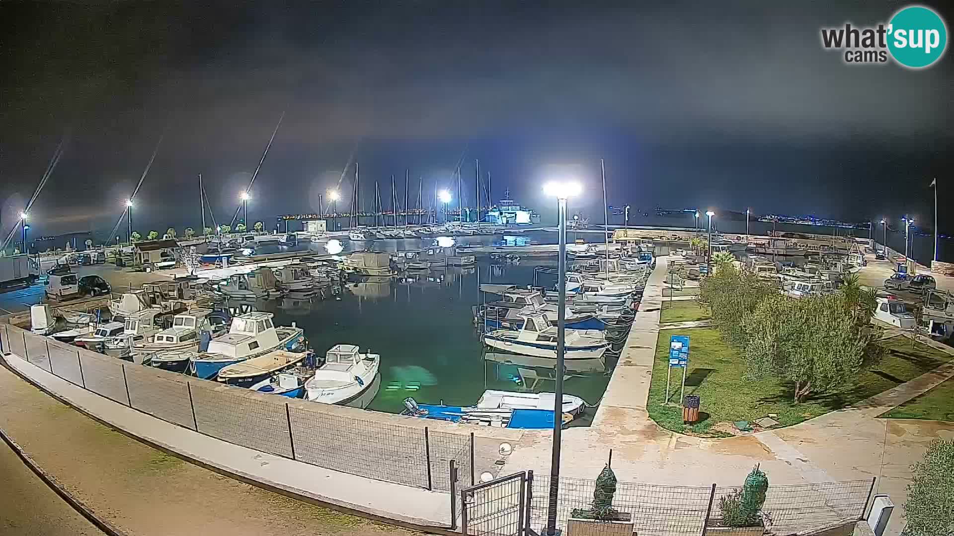 Webcam Live Tkon – port de plaisance