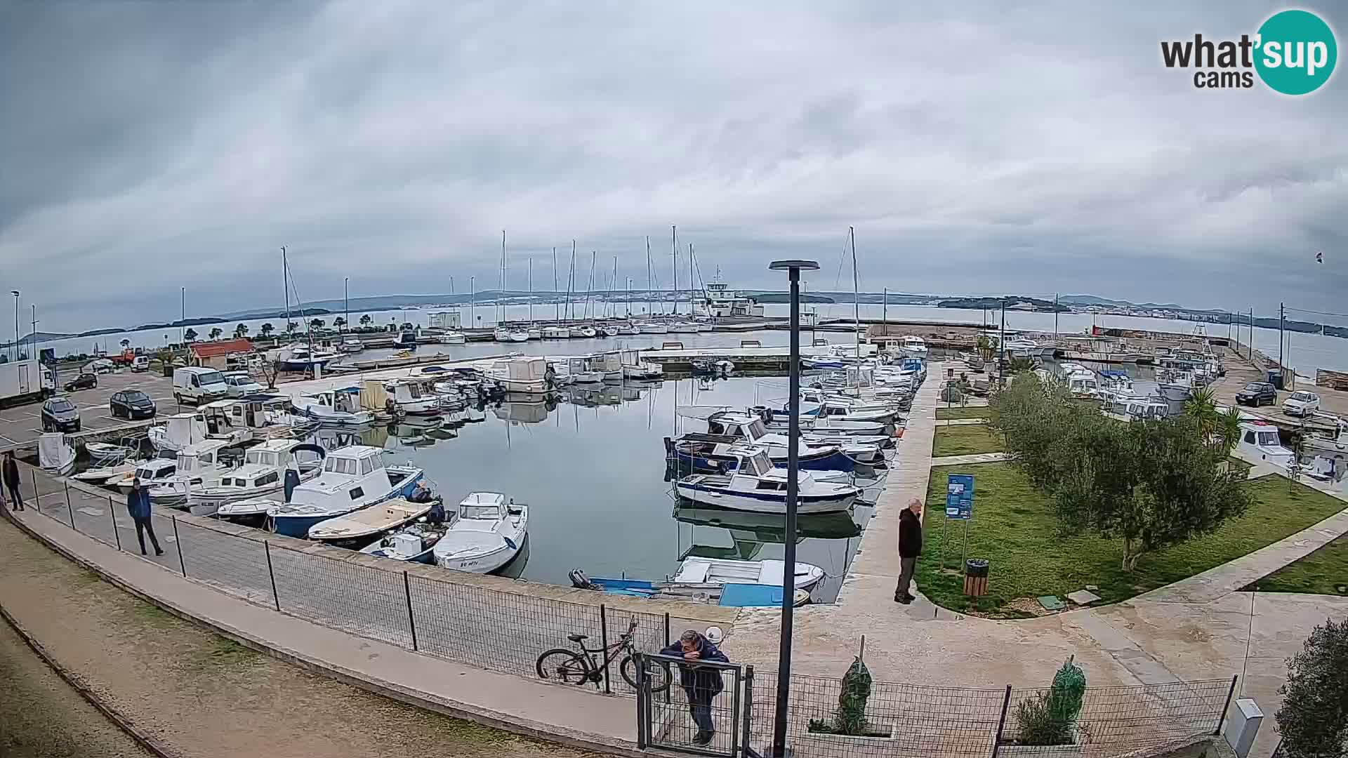 Webcam Live Tkon – port de plaisance