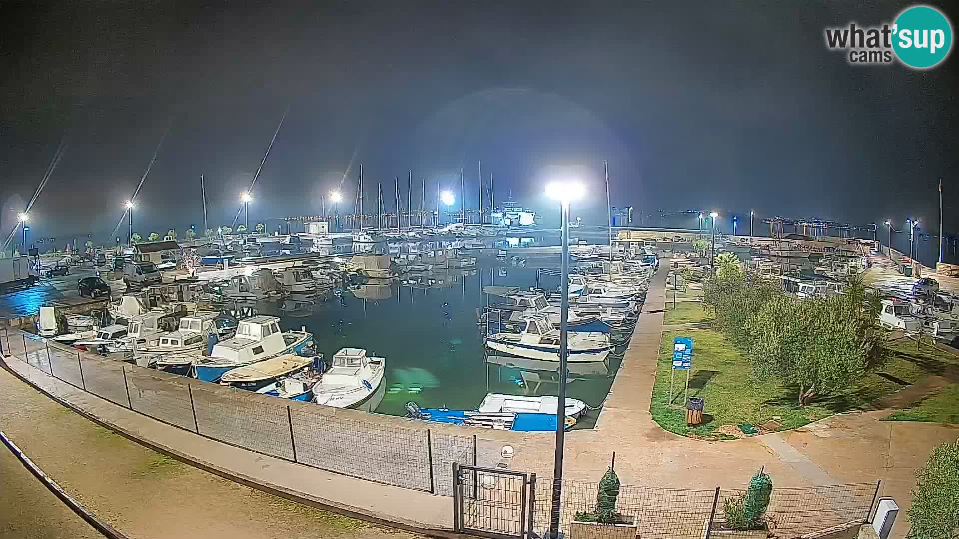 Webcam Live Tkon – port de plaisance