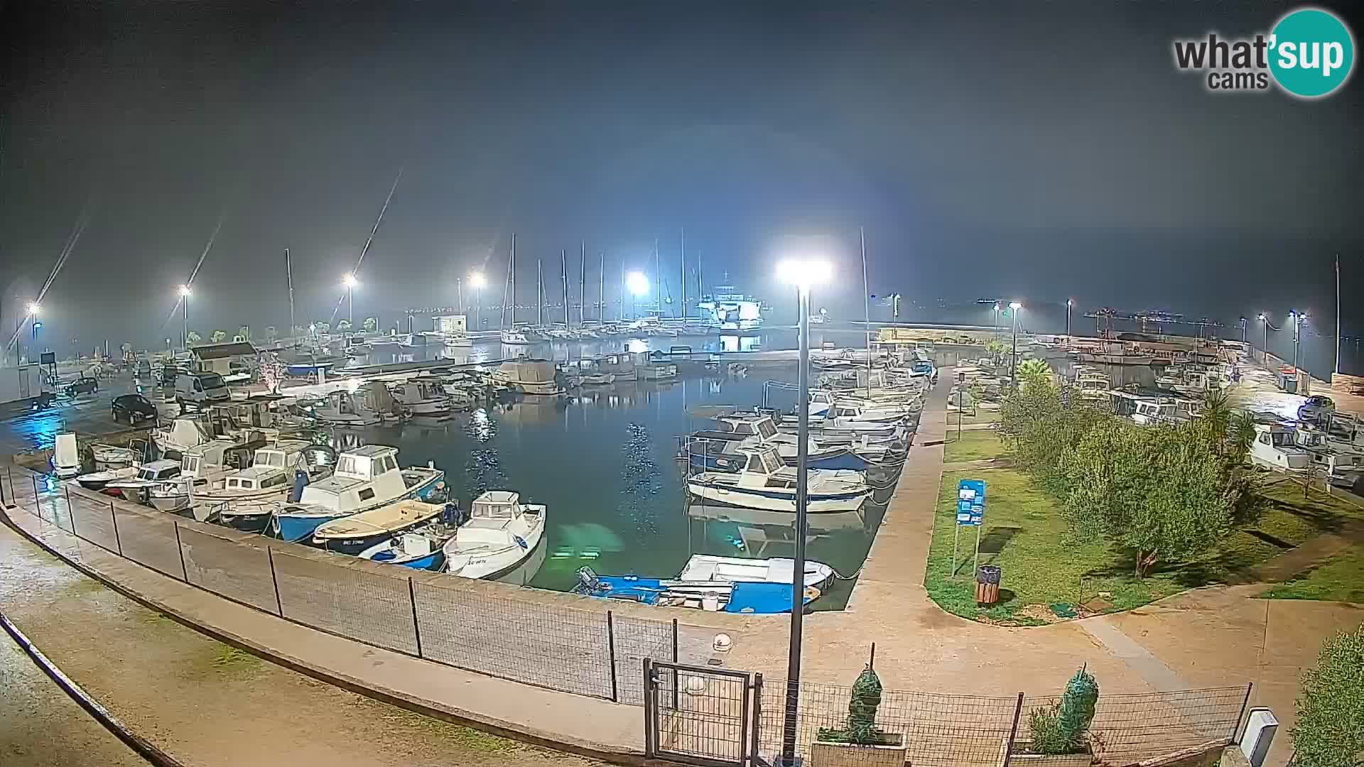 Webcam Live Tkon – port de plaisance