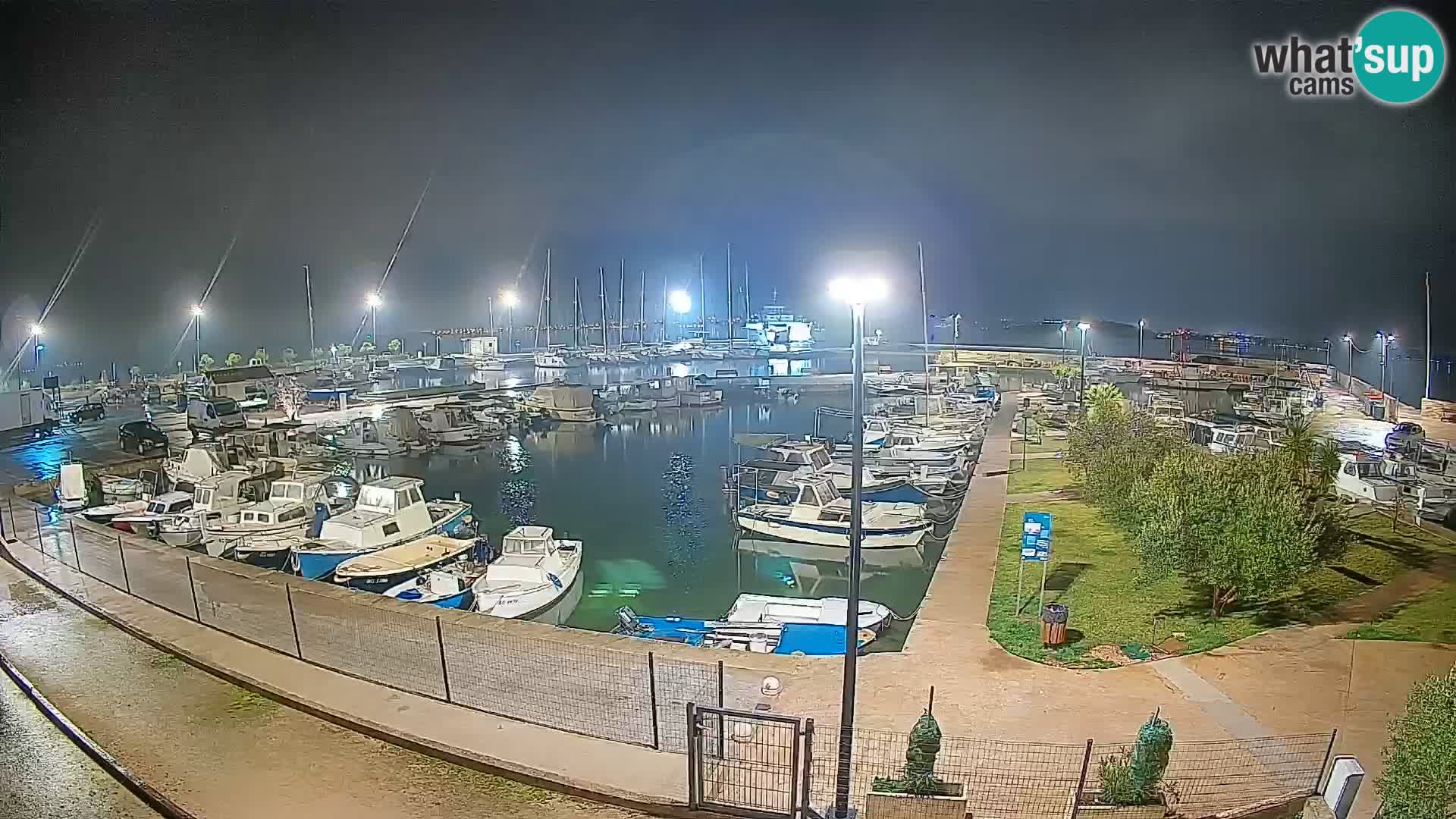 Webcam Live Tkon – port de plaisance