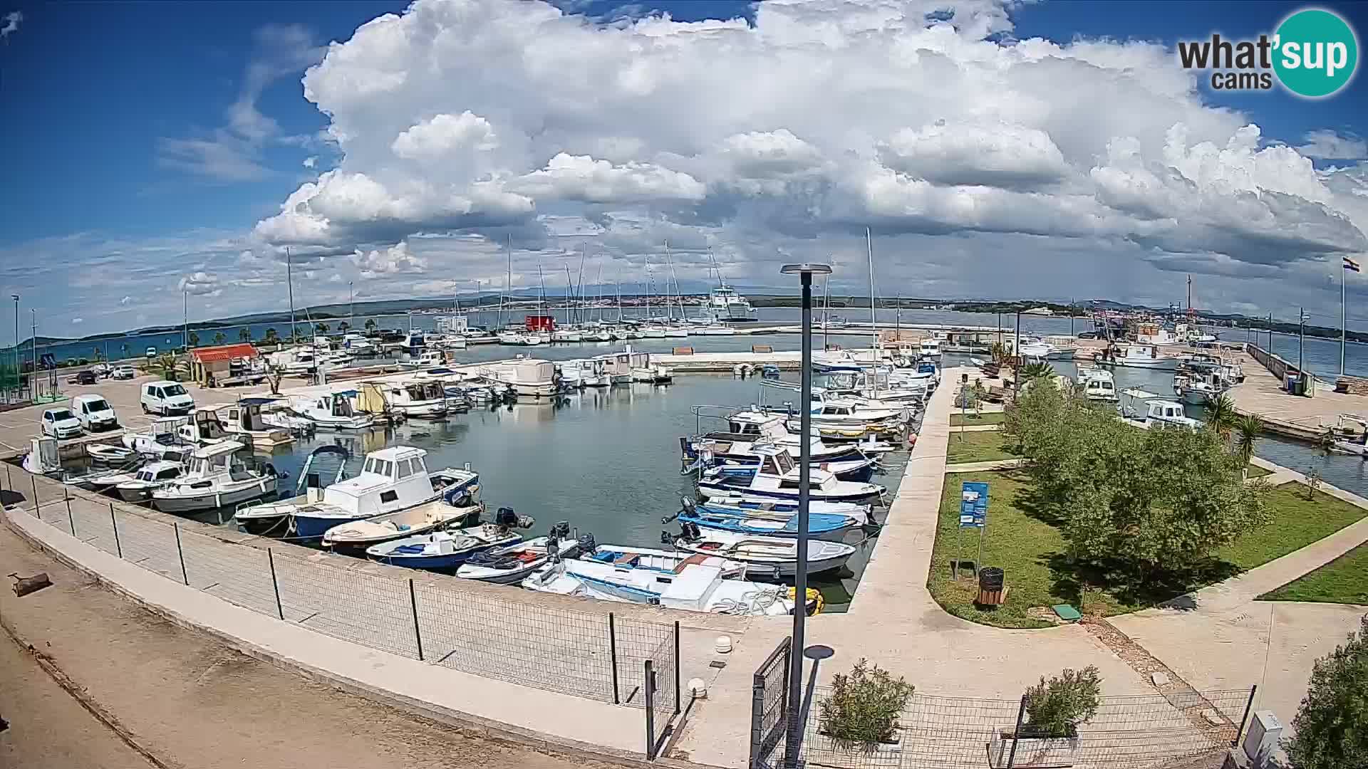 Webcam Live Tkon – puerto deportivo
