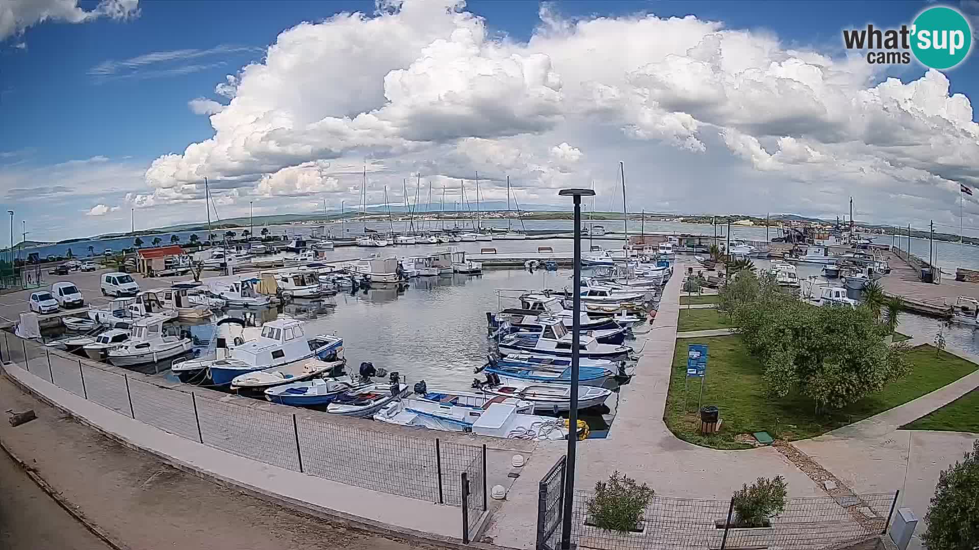 Webcam Live Tkon – puerto deportivo
