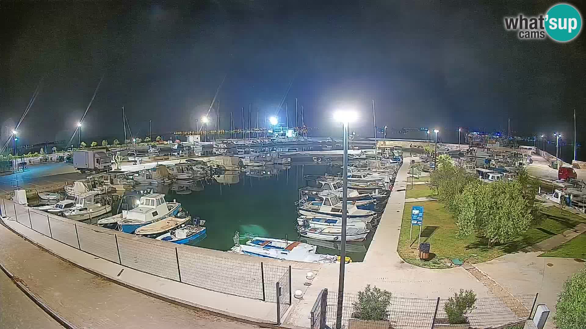 Webcam Live Tkon – Marina