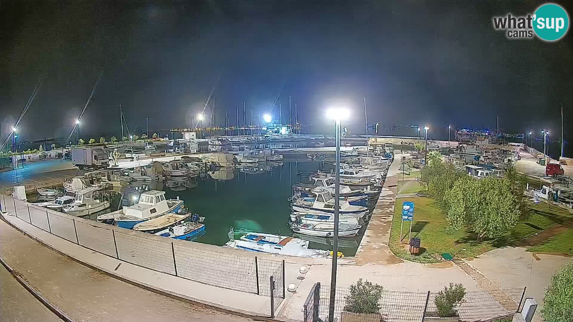 Webcam Live Tkon – Marina