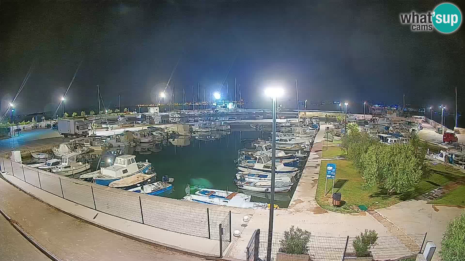 Webcam Live Tkon – Marina